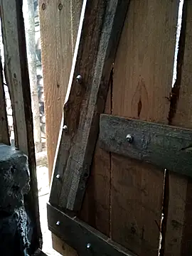 congchua977 online show from March 2026 02:04:02 AM