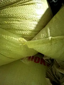 congchua977 online show from March 2026 11:28:02 AM