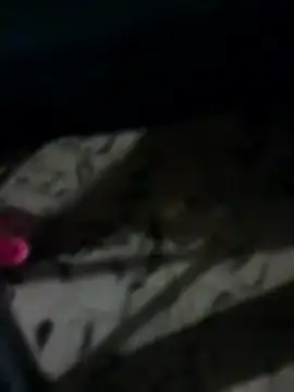 Antras92 online show from January 2026 01:45:01 AM