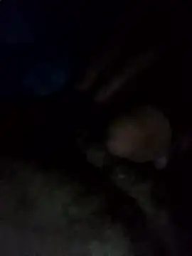 EchoedPerusing online show from January 2026 11:44:02 PM