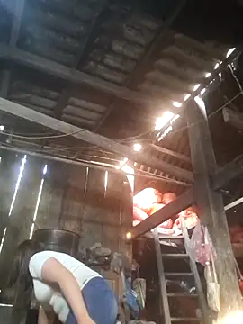 dakota-kis online show from March 2026 12:43:02 AM