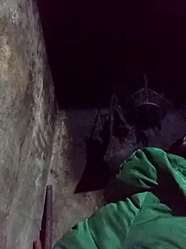 dakota-kis online show from February 2026 12:01:02 PM