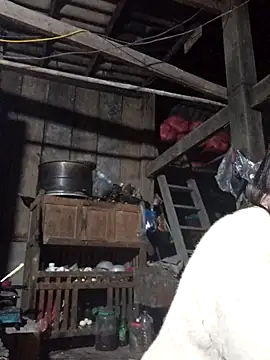 dakota-kis online show from January 2026 12:42:02 PM