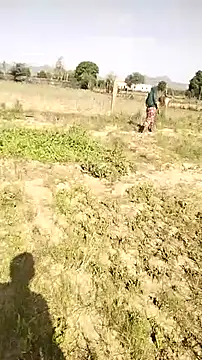 hornycouple20000 online show from April 2026 03:35:01 AM