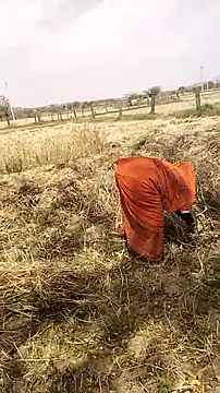 hornycouple20000 online show from March 2026 06:57:02 AM