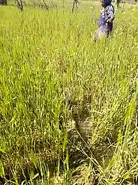 hornycouple20000 online show from January 2026 07:34:02 AM