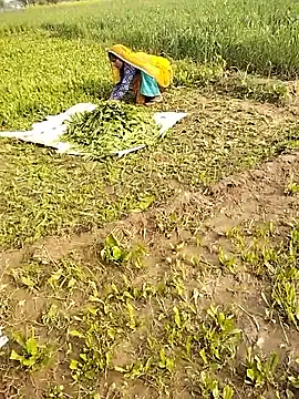 hornycouple20000 online show from January 2026 05:03:01 AM