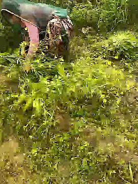 hornycouple20000 online show from January 2026 05:46:02 AM