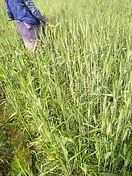 hornycouple20000 online show from February 2026 06:44:01 AM