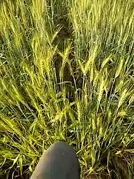 hornycouple20000 online show from February 2026 11:56:02 AM