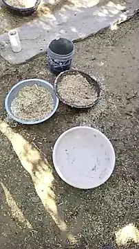 hornycouple20000 online show from April 2026 03:41:01 AM