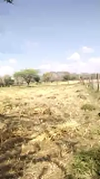 hornycouple20000 online show from March 2026 05:08:01 AM