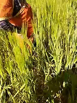 hornycouple20000 online show from January 2026 07:12:02 AM