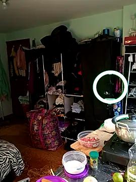 Andy Kein online show from April 2026 07:37:01 PM