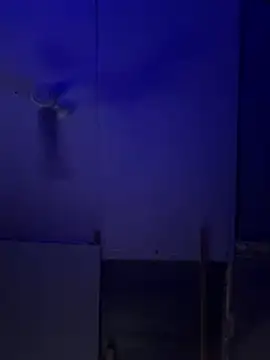 Bigbrowneyes25 online show from March 2026 05:00:01 AM