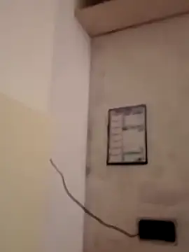 obediente23 online show from January 2026 02:40:01 AM