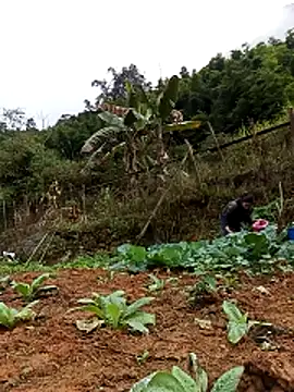 Hiniyk2 online show from February 2026 01:38:02 AM