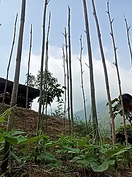 Hiniyk2 online show from March 2026 02:11:01 AM