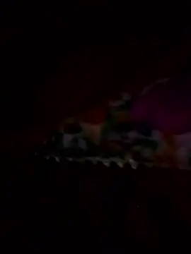 ramya sri online show from February 2026 08:36:01 AM