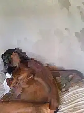 babepear online show from February 2026 06:35:01 AM