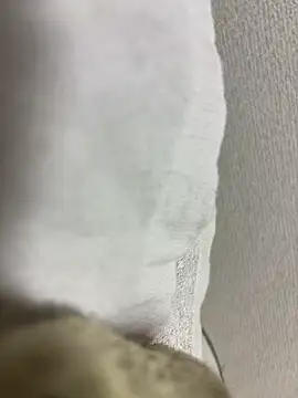 maonyan6 online show from February 2026 09:31:01 AM