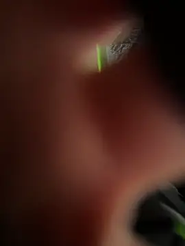 ZJbaby online show from March 2026 01:05:01 PM