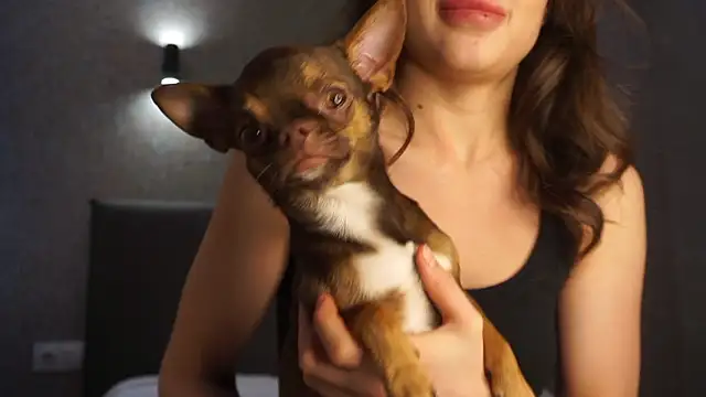 linclars online show from March 2026 01:39:01 PM