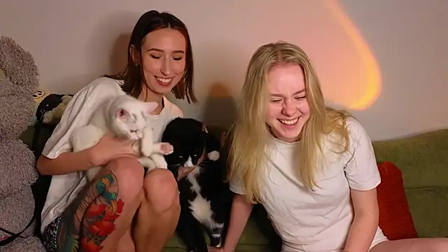 Mimipaws online show from January 2026 07:28:02 PM