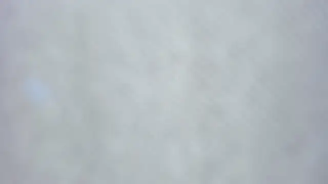 kiyoko yun online show from April 2026 07:48:01 AM