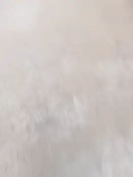 daksh  8 inche online show from April 2026 01:51:01 AM