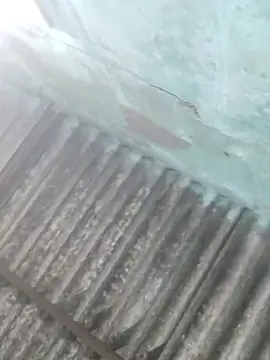 HoMann69 online show from January 2026 01:29:01 PM