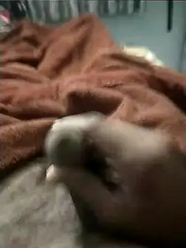 Snapshot of arsdeep1989 chatting on January 2026 03:32:01 AM arsdeep1989 online show from January 2026 03:32:01 AM