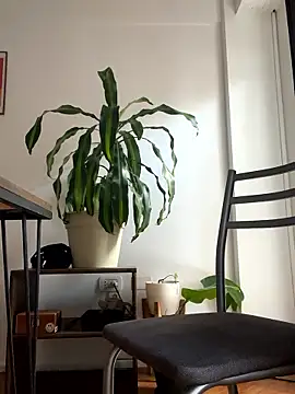 Chubandchaser online show from January 2026 12:22:02 PM