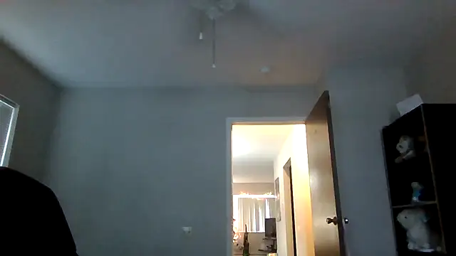 BradyFurness online show from January 2026 08:25:02 PM