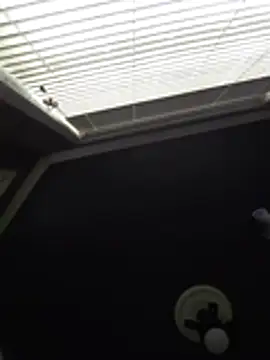 Derrick7799 online show from February 2026 08:22:01 PM