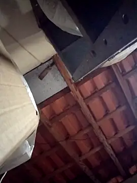 Fefe2805 online show from February 2026 08:19:02 PM