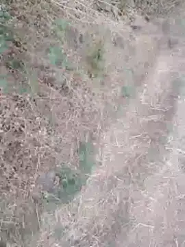 sexyboy 917 online show from March 2026 01:18:02 AM