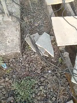 sexyboy 917 online show from April 2026 02:02:02 AM