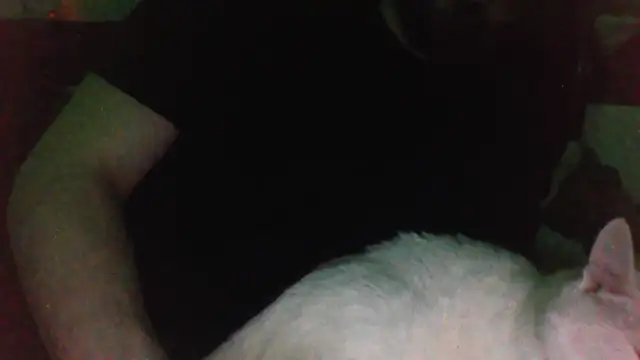 KaelNox online show from March 2026 11:40:01 PM