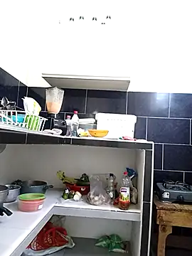 IIv0ryN0IIReX-XX online show from February 2026 02:39:02 PM