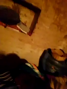 Jyoti sekh online show from February 2026 04:40:01 PM