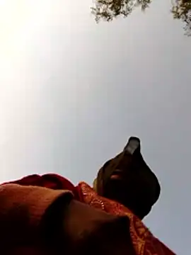 Jyoti sekh online show from February 2026 02:10:02 AM