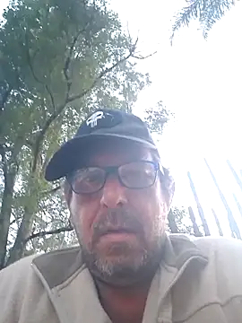 palmview2 online show from May 2026 03:11:02 PM