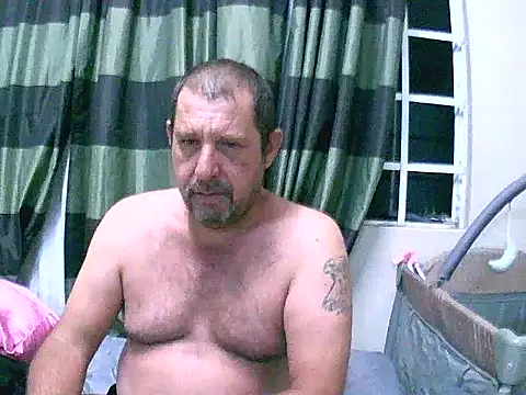 palmview2 online show from March 2026 01:10:01 AM
