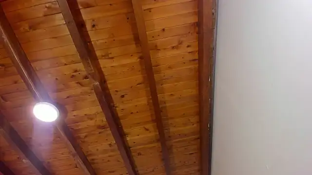 Im FelixHunter online show from April 2026 11:26:01 AM