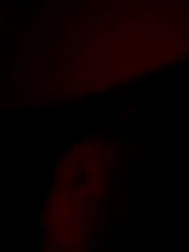 doidopradar online show from February 2026 03:48:01 AM