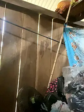 siorin 24 online show from January 2026 07:47:01 AM