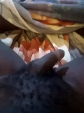 playerjack online show from April 2026 08:32:01 AM