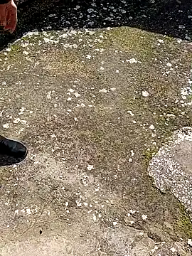 GanaderoMorboso online show from February 2026 11:09:01 AM