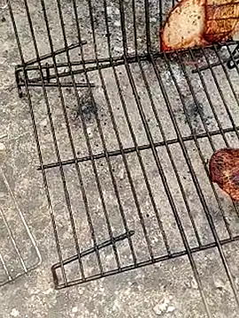 GanaderoMorboso online show from April 2026 12:19:02 PM